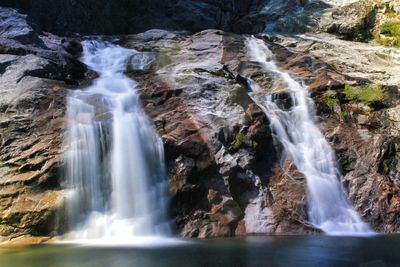 Scenic view of waterfall in forest