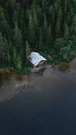 Scenic view of lake in forest