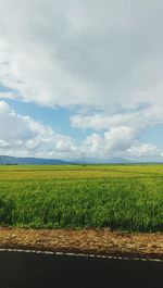 Scenic view of agricultural field against sky