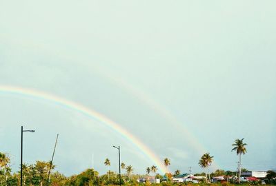 Rainbow over palm trees against sky