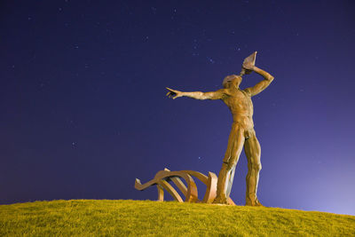 Statue on grass against sky at night