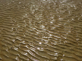 Full frame shot of water