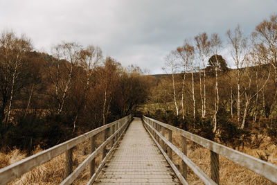 Walking on the deck of glendalough