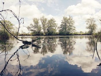 Reflection of trees in lake against sky