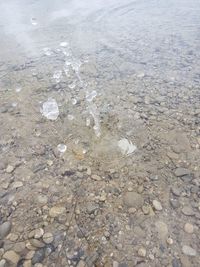 Close-up of water on beach