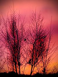 Low angle view of silhouette bare trees against romantic sky