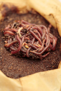 Close-up of chopped meat on cutting board