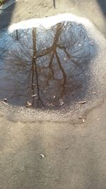 High angle view of trees on shore