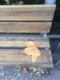 Close-up of maple leaf on bench