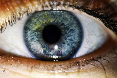 Close-up of human eye