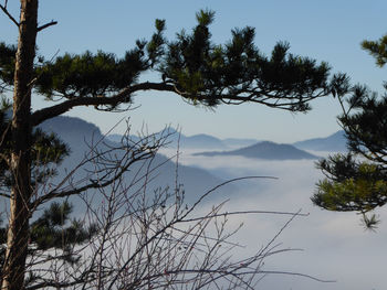 Scenic view of lake by trees against sky