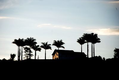 Low angle view of silhouette palm trees against sky