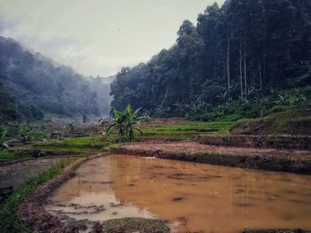 Scenic view of river by mountains against sky