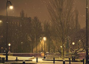 Illuminated street lights in city at night during winter