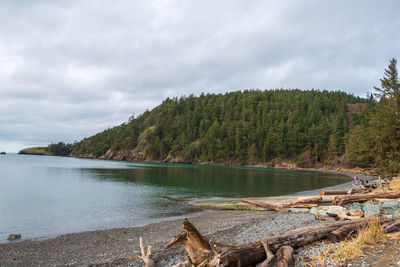 Landscape of ocean bay and forested hill at bowman bay on fidalgo island in washington