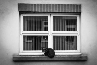 Cat sitting on window sill of building