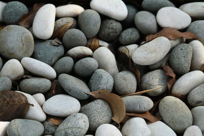 Full frame shot of pebbles and dry leaves