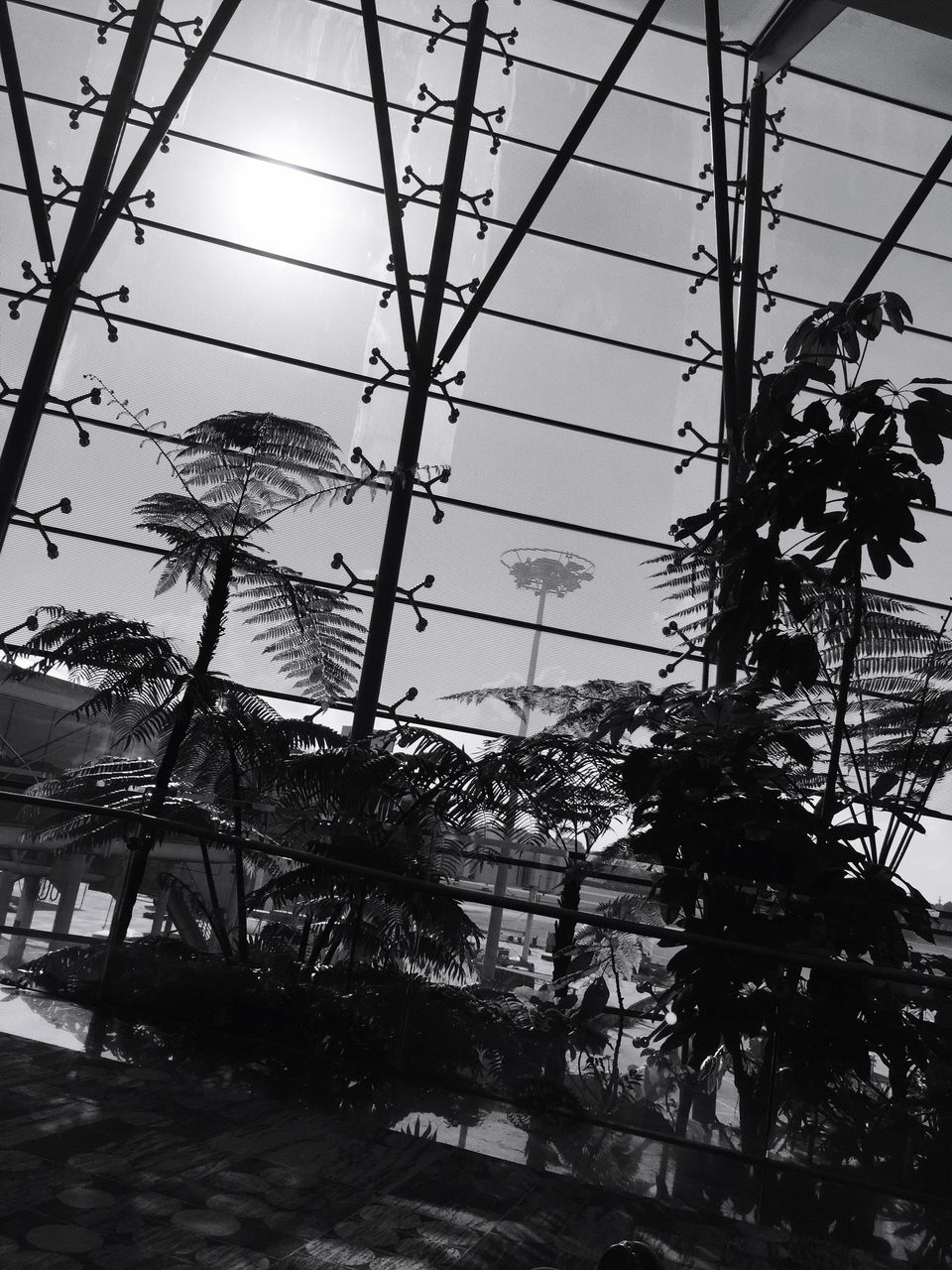 sky, low angle view, electricity pylon, built structure, power line, indoors, architecture, chainlink fence, metal, cloud - sky, no people, power supply, day, cable, electricity, glass - material, fence, tree, connection