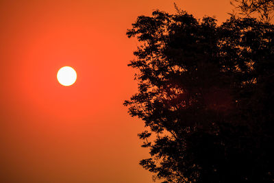 Low angle view of silhouette tree against orange sky