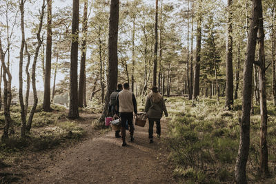 Rear view of people walking through forest