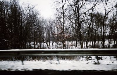 Bare trees on snow covered landscape