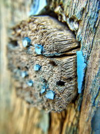 Close-up of textured surface