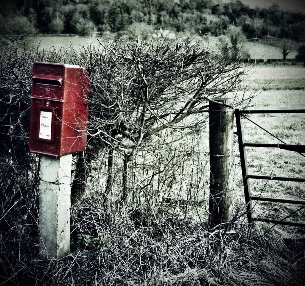 Countryside uk