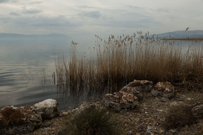 Scenic view of lake against sky