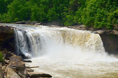 Scenic view of waterfall