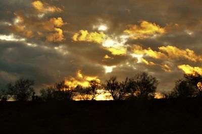 Low angle view of silhouette trees against dramatic sky