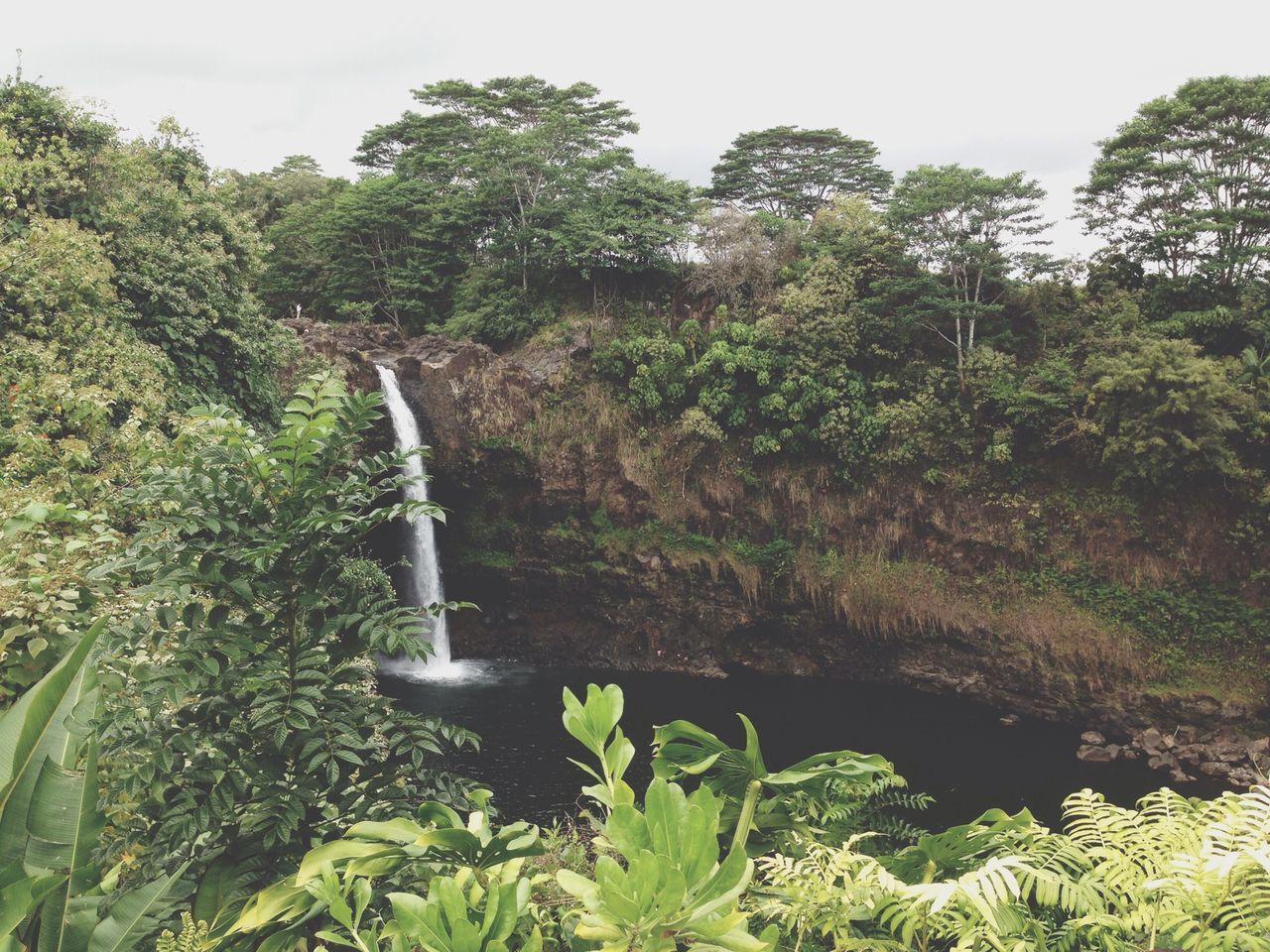 Big Island