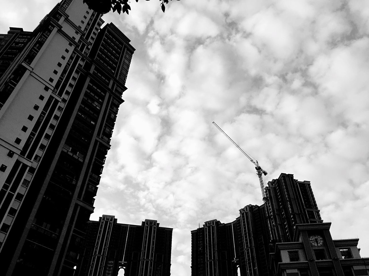 building exterior, architecture, built structure, low angle view, sky, city, cloud - sky, building, cloudy, crane - construction machinery, skyscraper, tall - high, development, office building, modern, cloud, bird, construction site, outdoors, day
