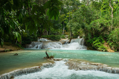 Scenic view of waterfall in forest