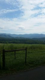 Scenic view of grassy field against sky