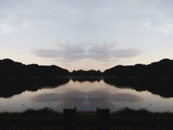 Reflection of trees in calm lake