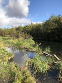 Scenic view of lake against sky