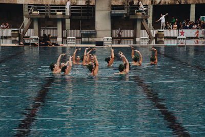 Group of birds swimming in pool