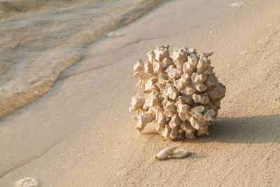 Close-up of sand on beach