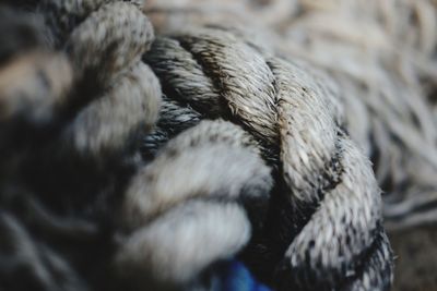 Close-up of rope tied up