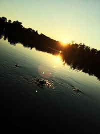 Swan swimming in lake against sky during sunset