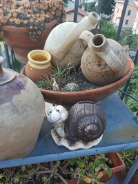Potted plants in yard