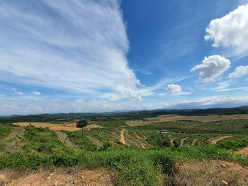 Scenic view of agricultural field against sky