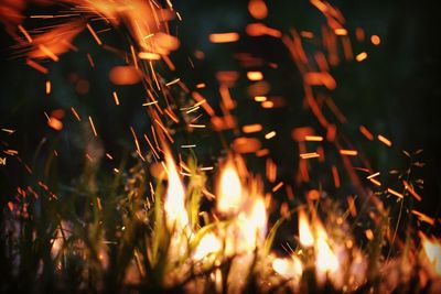 Close-up of grass burning at night