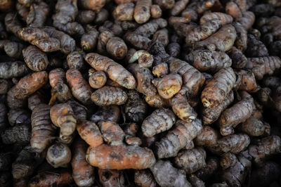 Full frame shot of coffee beans