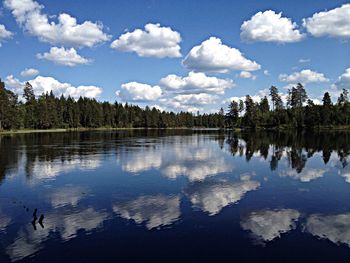 Reflection of trees in calm lake