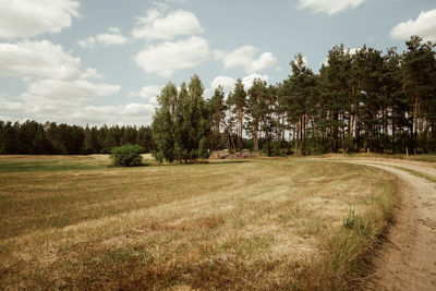 Scenic view of field against sky