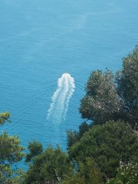 High angle view of trees by sea against sky