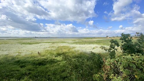 Scenic view of land against sky