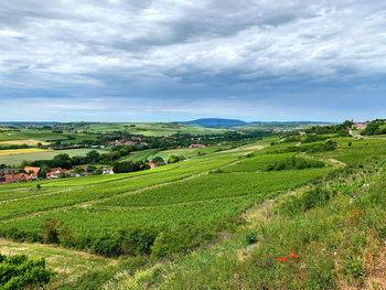 Scenic view of agricultural field against sky