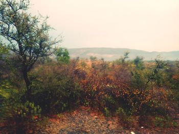 Scenic view of landscape against sky during autumn